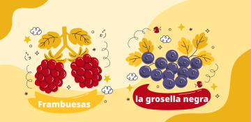 Названия ягод на испанском языке с переводом