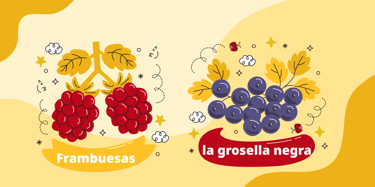 Названия ягод на испанском языке с переводом