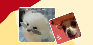 Лучшие испанские мемы 2025 года